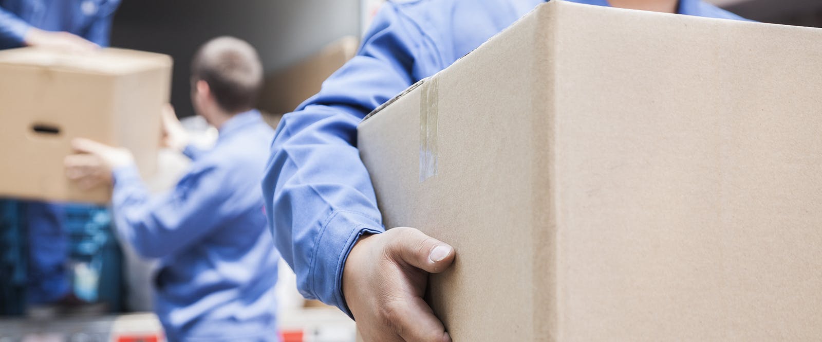 Get up to 5 free quotes from top movers and packers by filling out this short form.