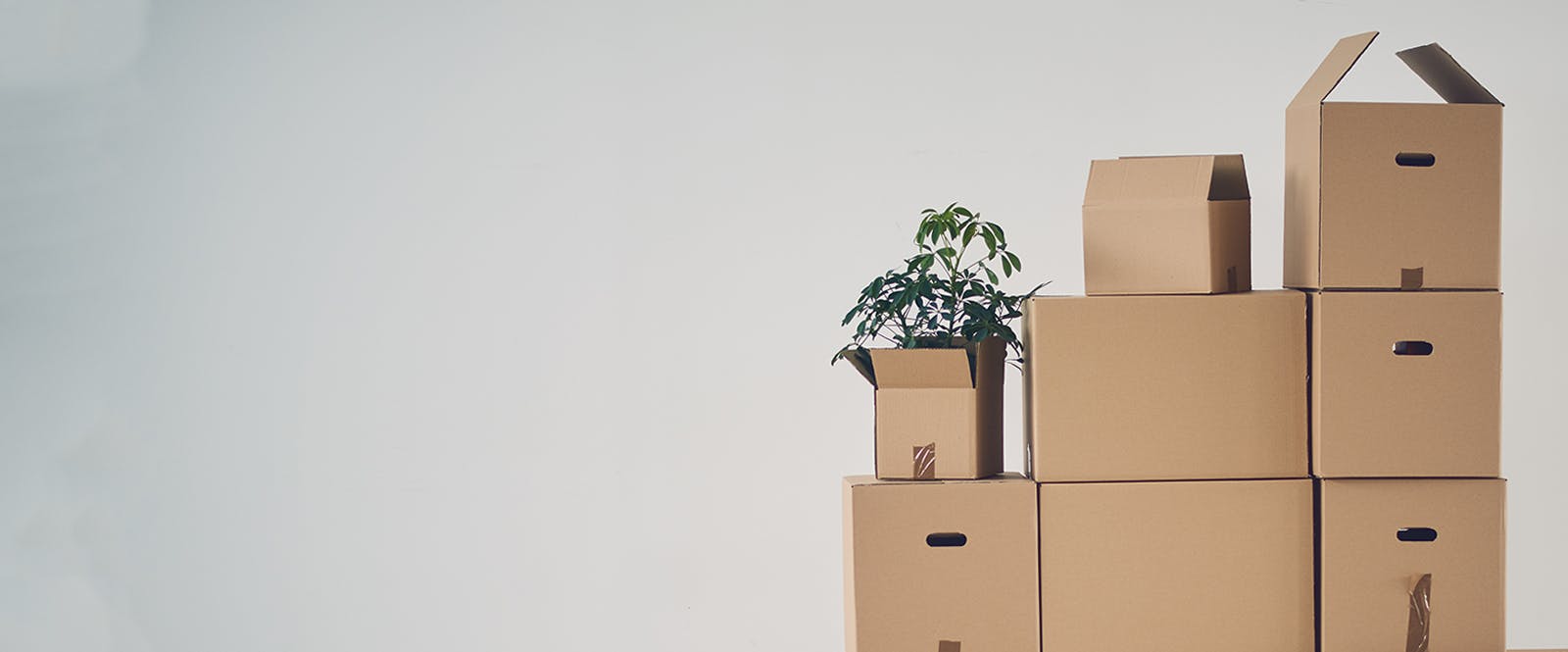 Get up to 5 free quotes from the best storage companies by filling out this short form.